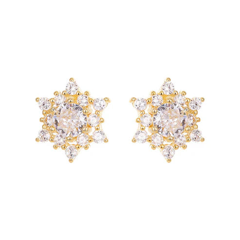 S925 Silver French Snowflake Zircon Stud Earrings