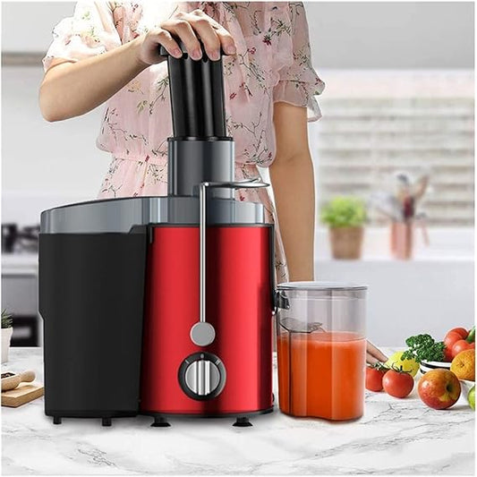 Stainless Steel Portable Fruit Juicers