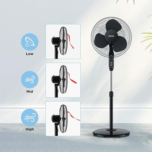 Pedestal Fan